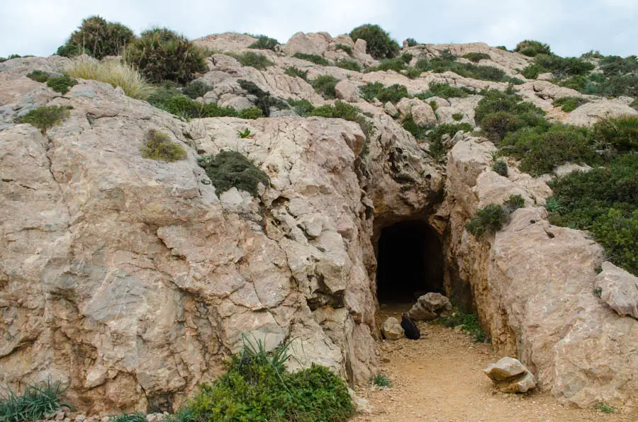 coves blanques in colonia de sant vicente