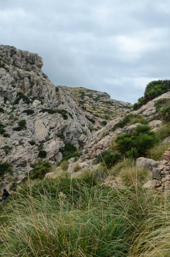 wandern in colonia de sant vicenc