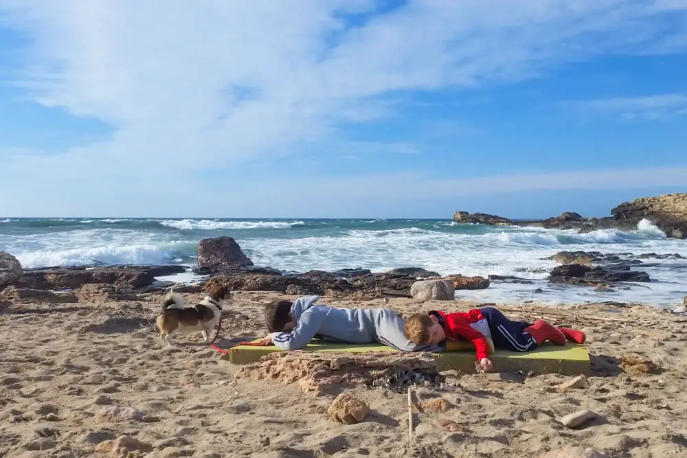 Hundestrand bei Alcúdia