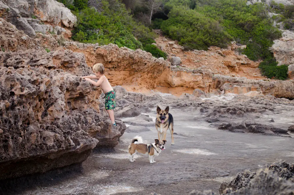 Wandern mit Hund auf Mallorca