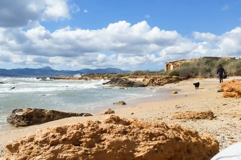 Hundestrand Es Carnatge Palma