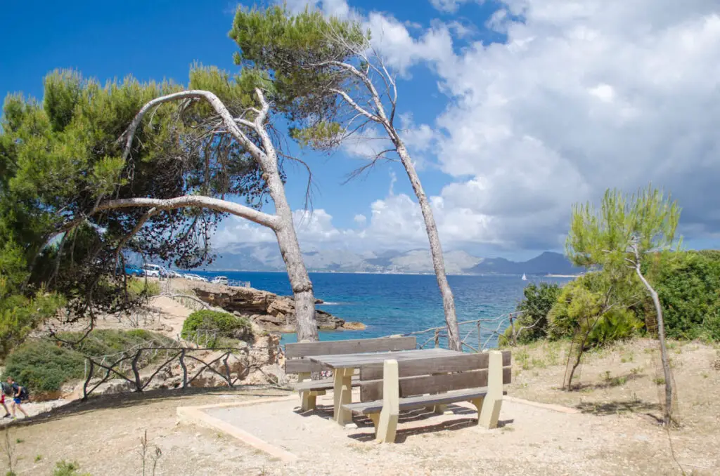 Picknicktisch am Strand S'Illot