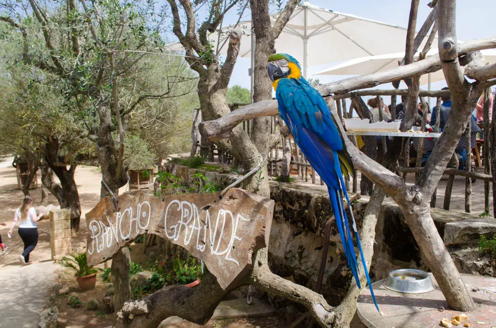 Rancho Grande Park Mallorca