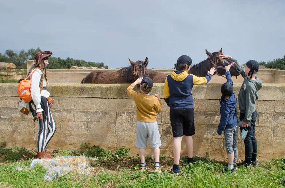 Reiten Rancho Grande Mallorca