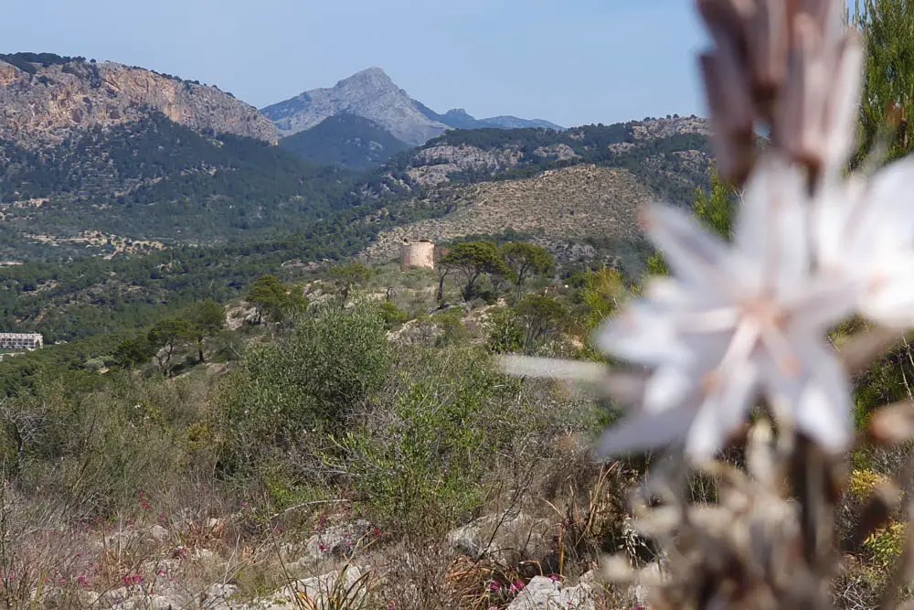 Wanderung zum Cap de Andritxol