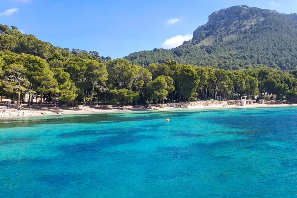 platja de formentor mallorca beach