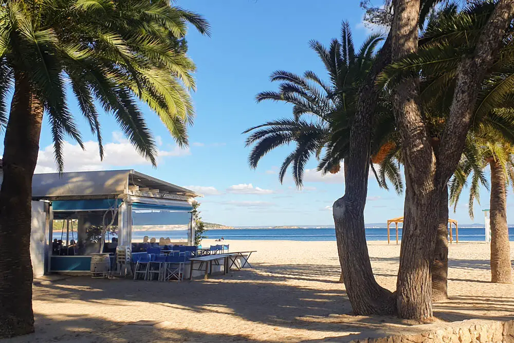 Palma Nova Strand und Aktivitäten