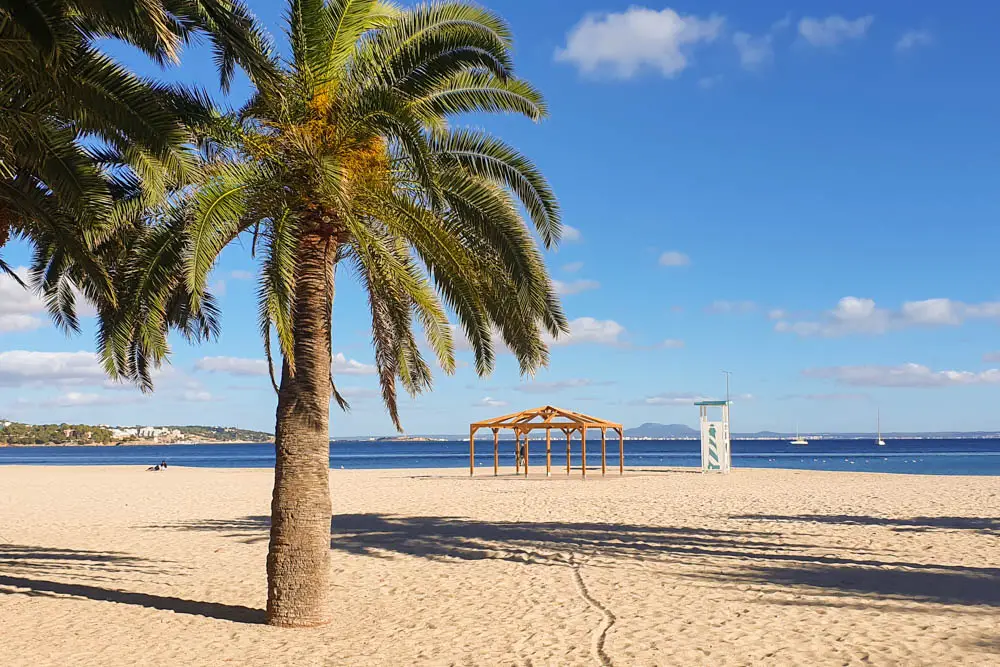 Der Palmanova Strand: Perfekt für Familien