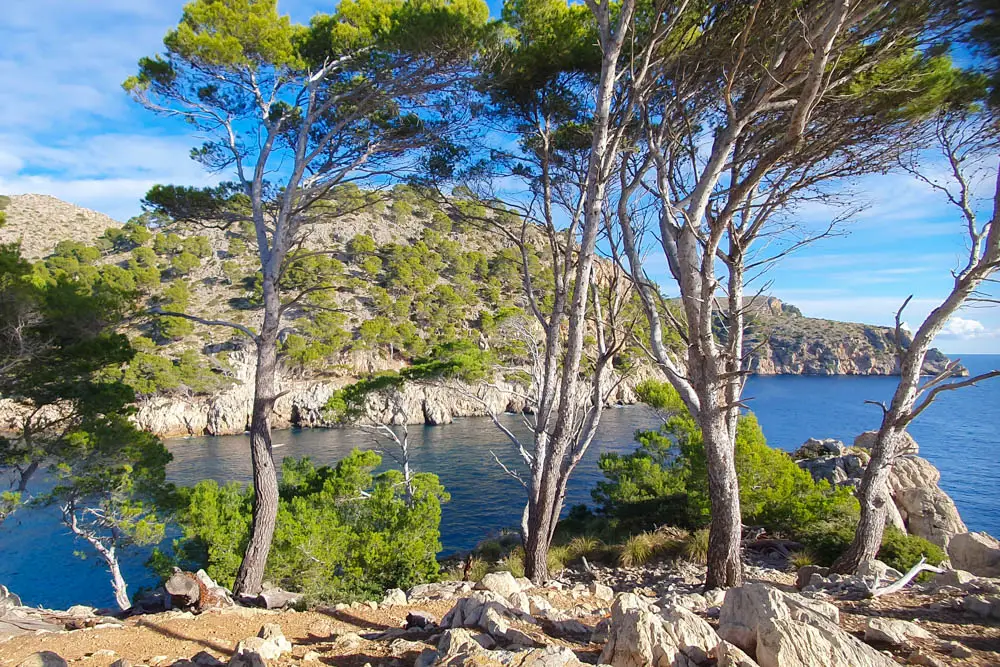 Camí del Castellet an der Cala Murta