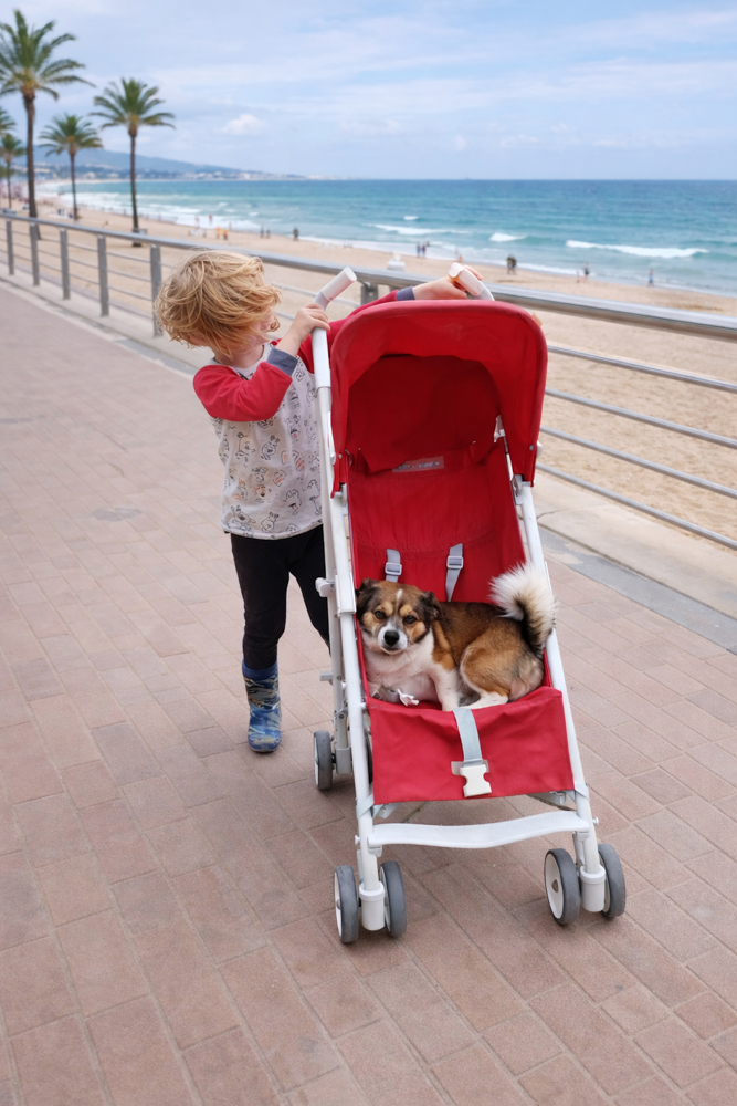 Ein einfacher Mietbuggy im Urlaubsalltag auf Mallorca – hier im Einsatz für kurze Wege (ja, sogar der Hund hatte Platz).
