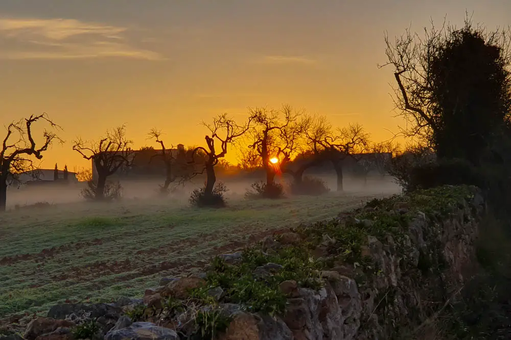 Sonnenaufgang auf Mallorca