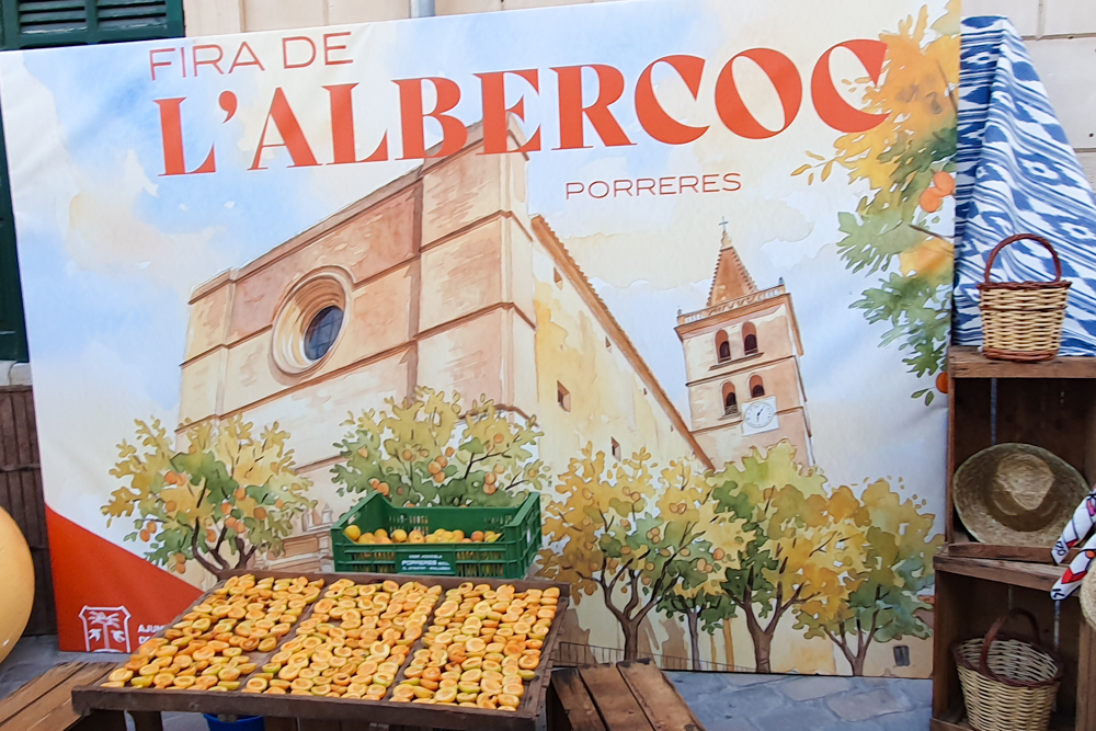 Fira de l'Albercoc: Das Aprikosenfest in Porreres