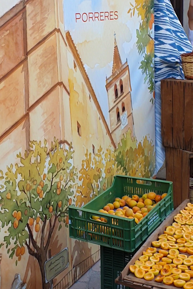 Aprikosenfest in Porreres: Fira de l'Albercoc