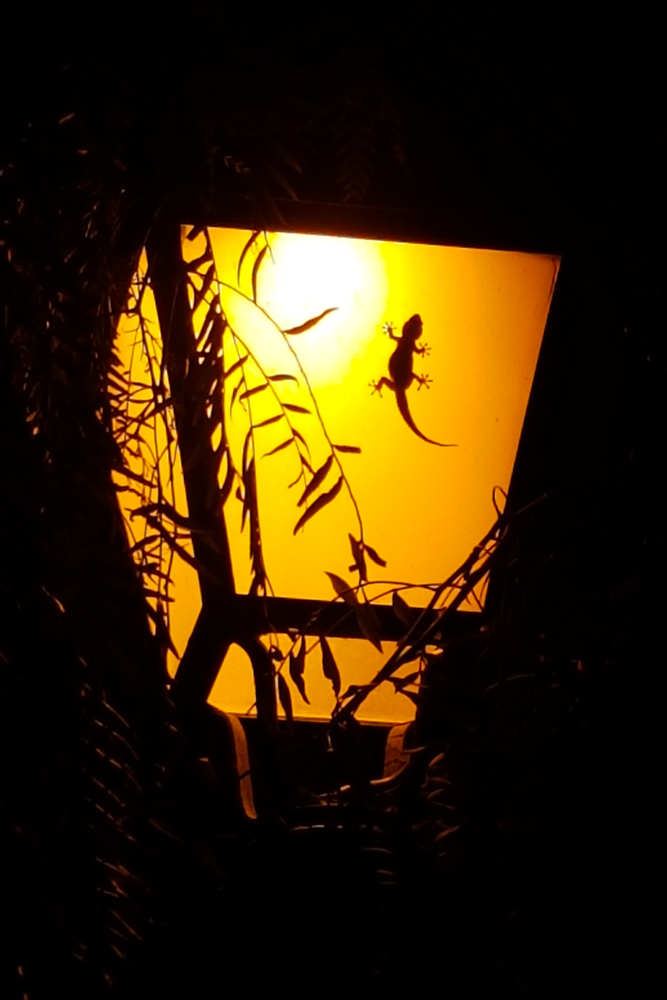 Laternenfeste und Sankt Martins Umzüge auf Mallorca