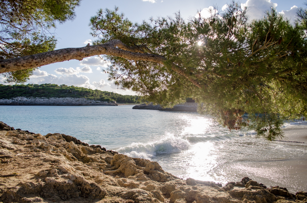 Der Strand Cala Mondragó