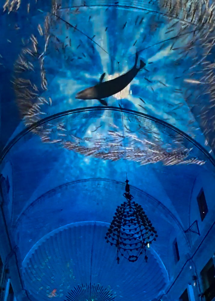 Elements in Palma: Die immersive Licht- und Video-Show in einer historischen Kirche