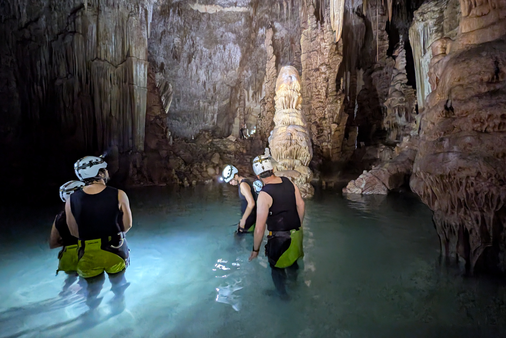 Teilnehmer der Cova des Coloms Tour schwimmen durch das klare Wasser zwischen beeindruckenden Tropfsteinformationen