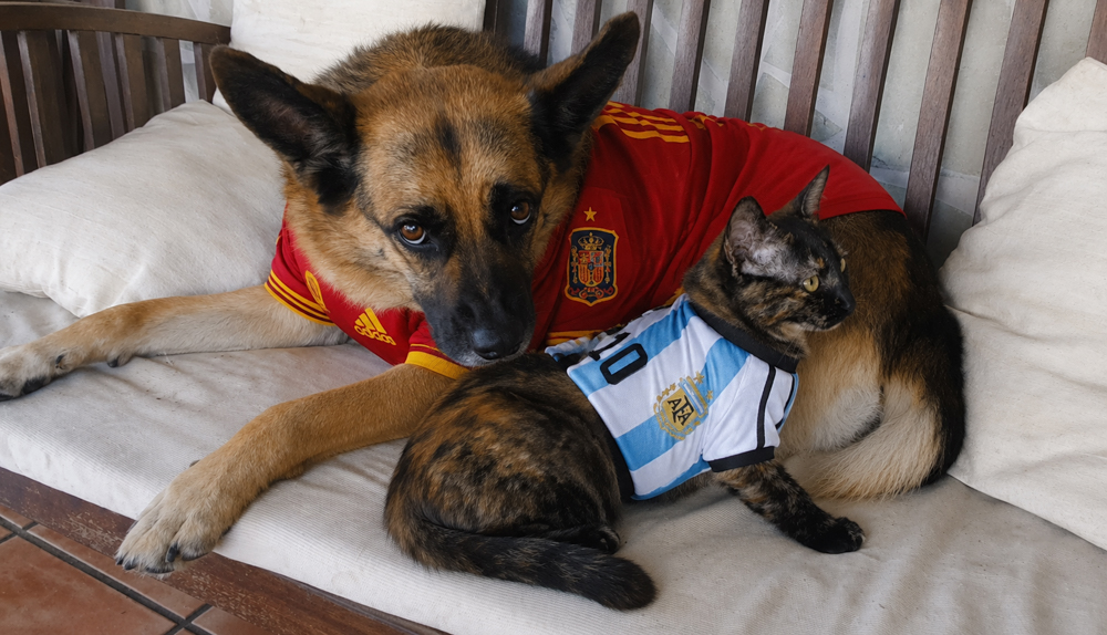 WM Finale: Spanien gegen Argentinien. Publick viewing auf Mallorca